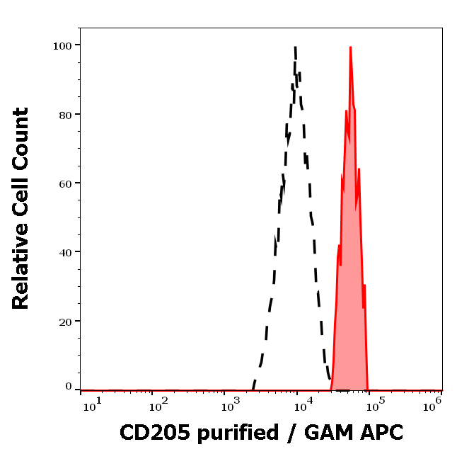 CD205 Antibody