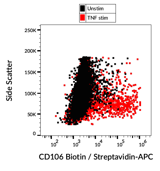 CD106 Antibody (Biotin)