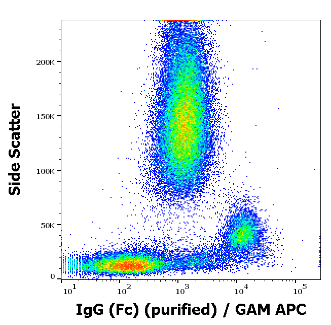 IgG (Fc) Antibody