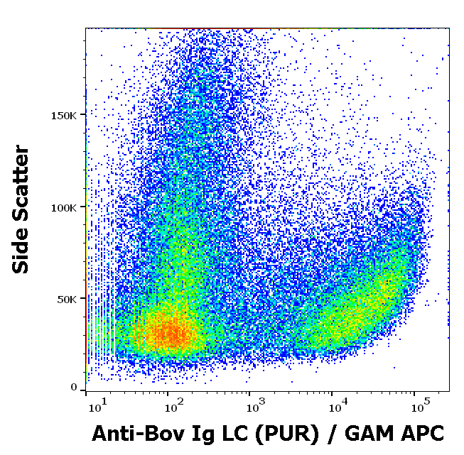 Ig Light Chains Antibody