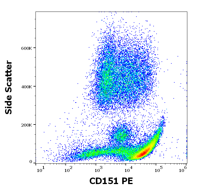 CD151 Antibody (PE)