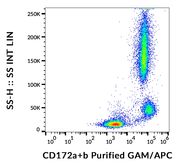 CD172ab Antibody