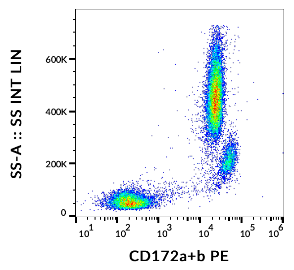 CD172ab Antibody (PE)