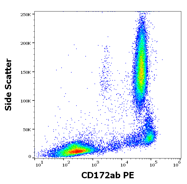 CD172ab Antibody (PE)