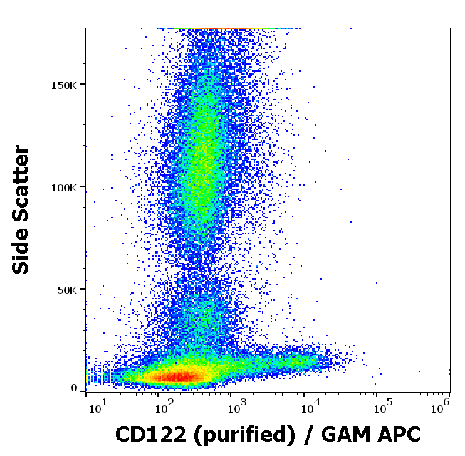 CD122 Antibody