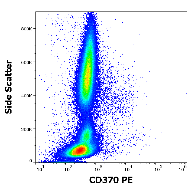 CD370 Antibody (PE)
