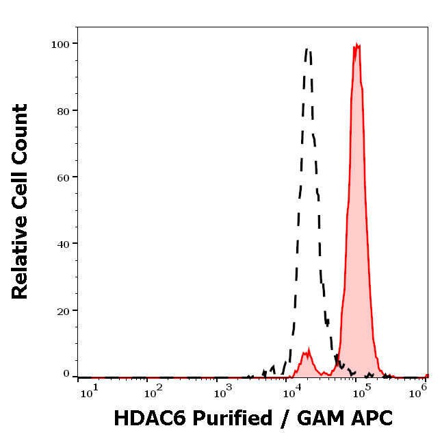 HDAC6 Antibody