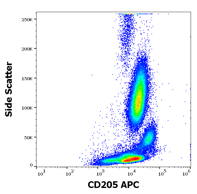 CD205 Antibody (APC)