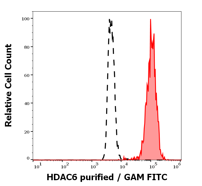 HDAC6 Antibody