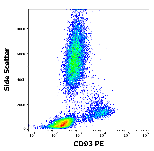 CD93 Antibody (PE)