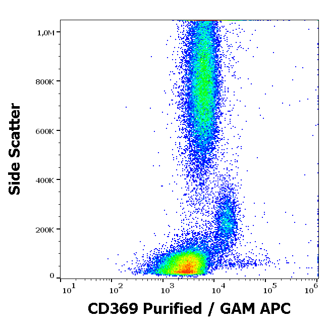 CD369 Antibody