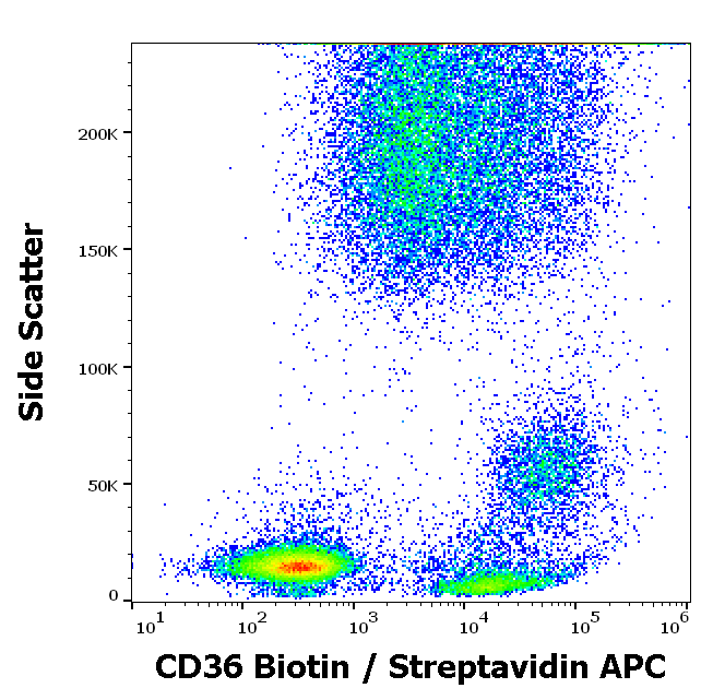 CD36 Antibody (Biotin)