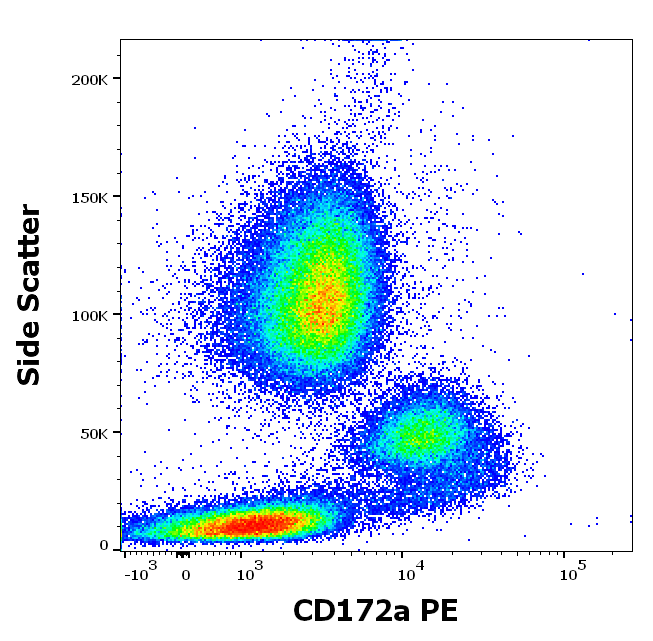 CD172a Antibody (PE)