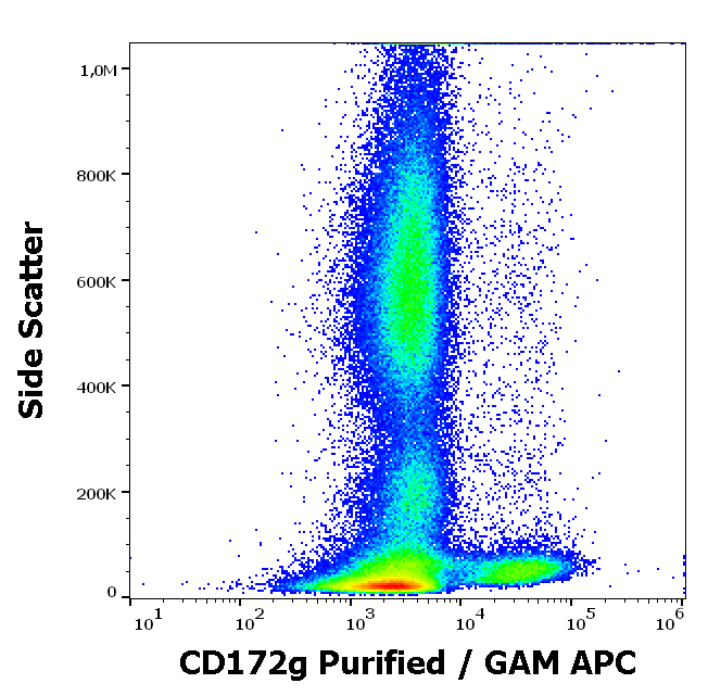 CD172g Antibody