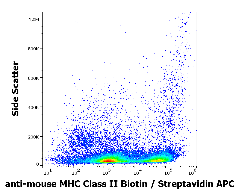 MHC Class II Antibody (Biotin)