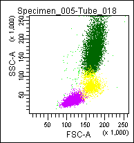 COMBI IC Reagent: Mouse Myeloperoxidase-C2 (FITC) and Mouse Lactoferrin (PE) Antibody