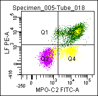 COMBI IC Reagent: Mouse Myeloperoxidase-C2 (FITC) and Mouse Lactoferrin (PE) Antibody