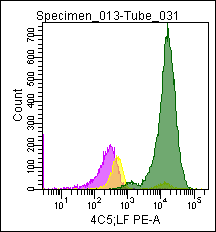 Mouse Lactoferrin, conjugated to PE Antibody
