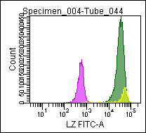 Mouse Lysozyme, conjugated to FITC Antibody