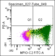 Mouse Myeloperoxidase-C2 (MPO-C2), conjugated to FITC Antibody