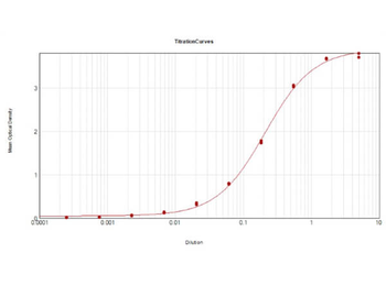 Bovine Serum Albumin Antibody