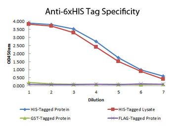 6X His Tag Antibody