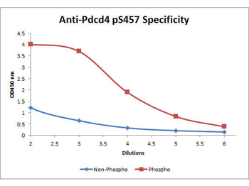 PDCD4 Antibody (Biotin)
