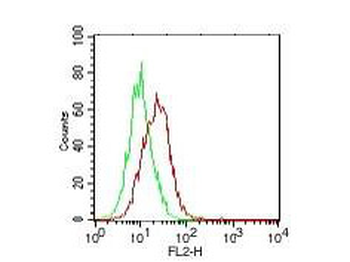 IL25 Antibody