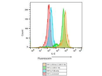 IL-6 Antibody