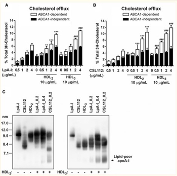 Apolipoprotein A-I Antibody