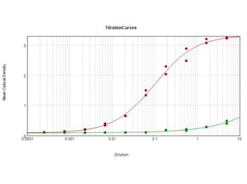 Myosin phospho S19/phospho S20 Antibody