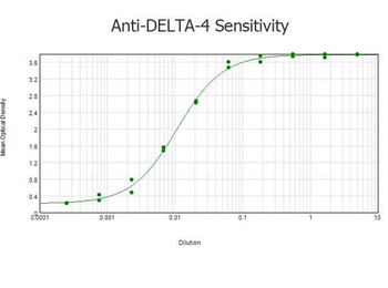 DLL4 Antibody