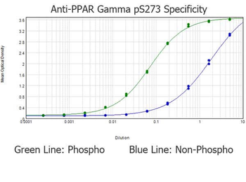 PPARG Antibody