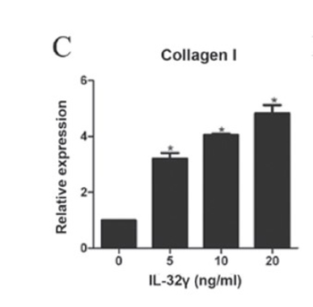 Collagen Type I Antibody Fluorescein Conjugated