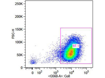 Collagen Type I Antibody Biotin Conjugated