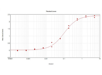 Rabbit IgG (H&L) Antibody