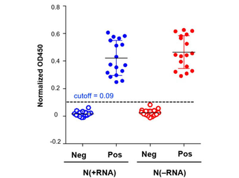 Cat IgG (H&L) Antibody Peroxidase Conjugated