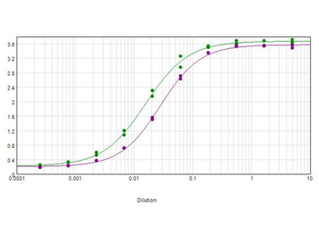 Goat IgG Fc Antibody
