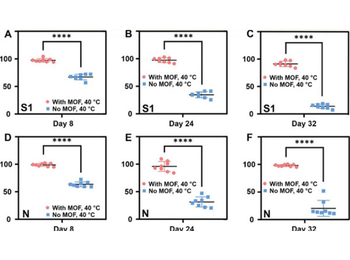 Human IgG (H&L) Antibody Biotin Conjugated Pre-Adsorbed