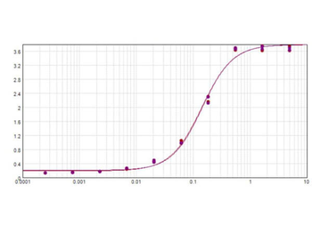 Mouse IgG Fc Antibody Alkaline Phosphatase Conjugated