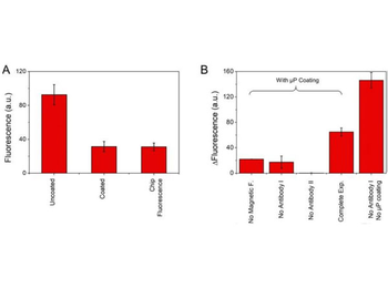 Rabbit IgG Fc Antibody Rhodamine Conjugated