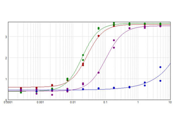 Rabbit IgG Fc Antibody Pre-Adsorbed