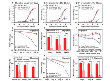 Rabbit IgG (H&L) Antibody Biotin Conjugated