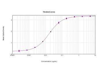 Sheep IgG (H&L) Antibody