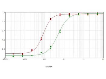 Sheep IgG (H&L) Secondary Antibody Biotin Conjugated Pre-Adsorbed
