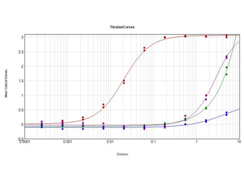 Sheep IgG (H&L) Antibody Pre-adsorbed