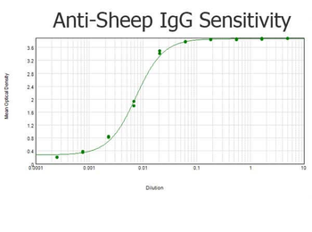Sheep IgG (H&L) Antibody Peroxidase Conjugated