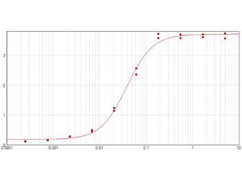 Sheep IgG (H&L) Antibody Alkaline Phosphatase Conjugated