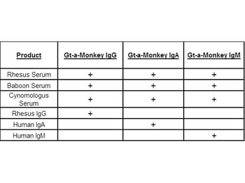 Monkey IgM (mu chain) Antibody