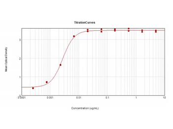 Fab Rabbit IgG (H&L) Antibody Biotin Conjugated
